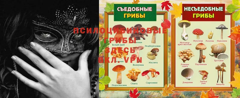 гидра вход  где продают   Бежецк  Псилоцибиновые грибы Magic Shrooms 